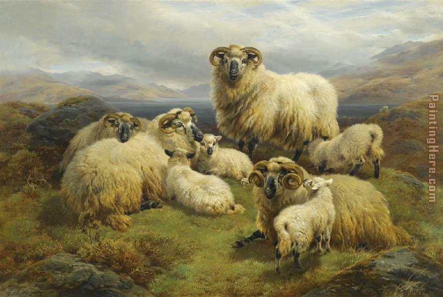 Sheep in the Highlands painting - Unknown Artist Sheep in the Highlands art painting